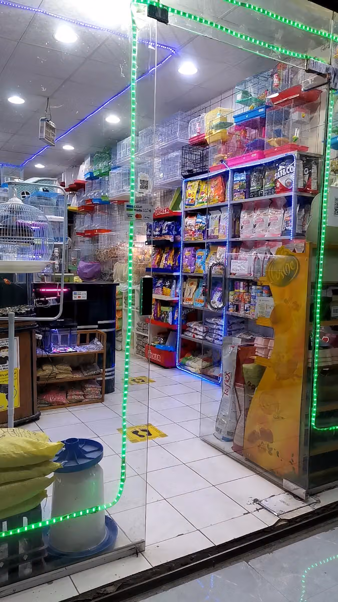 محل طيور