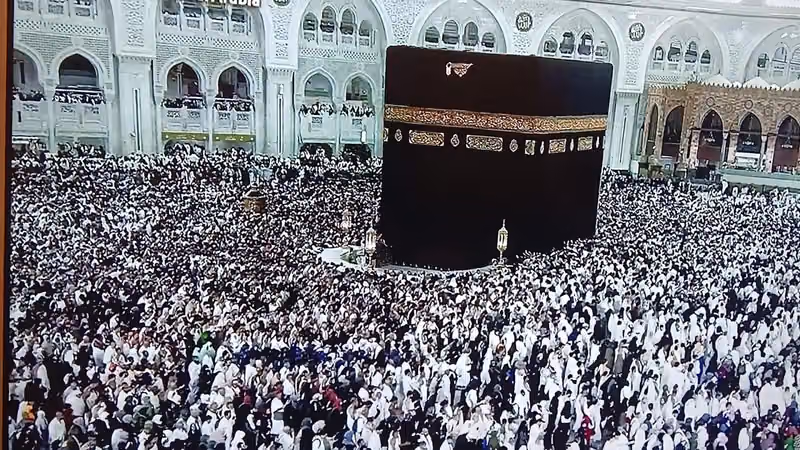 محمد إبراهيم : إلكترونيات دش رسيفر