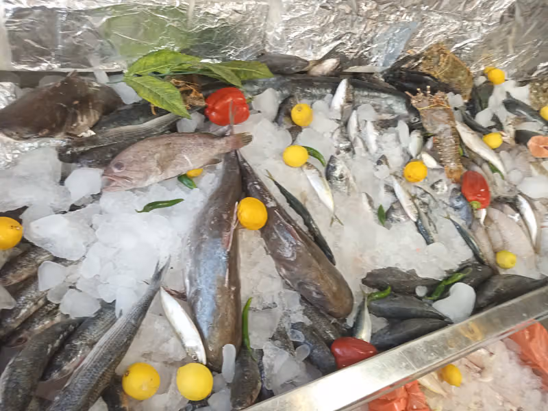 مهرجان السمك للمؤكلات البحرية