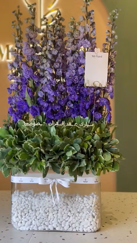 Mi flord boutique | مي فلورد بوتيك