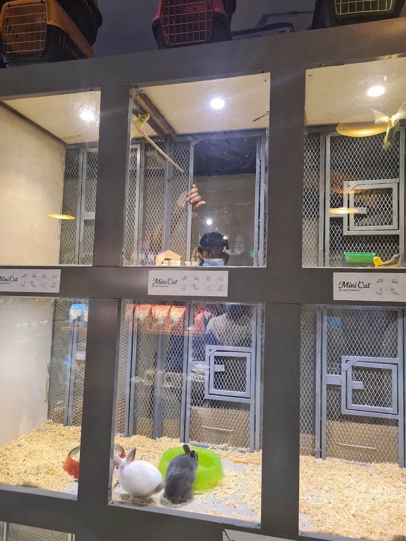 Mini Cat Shop