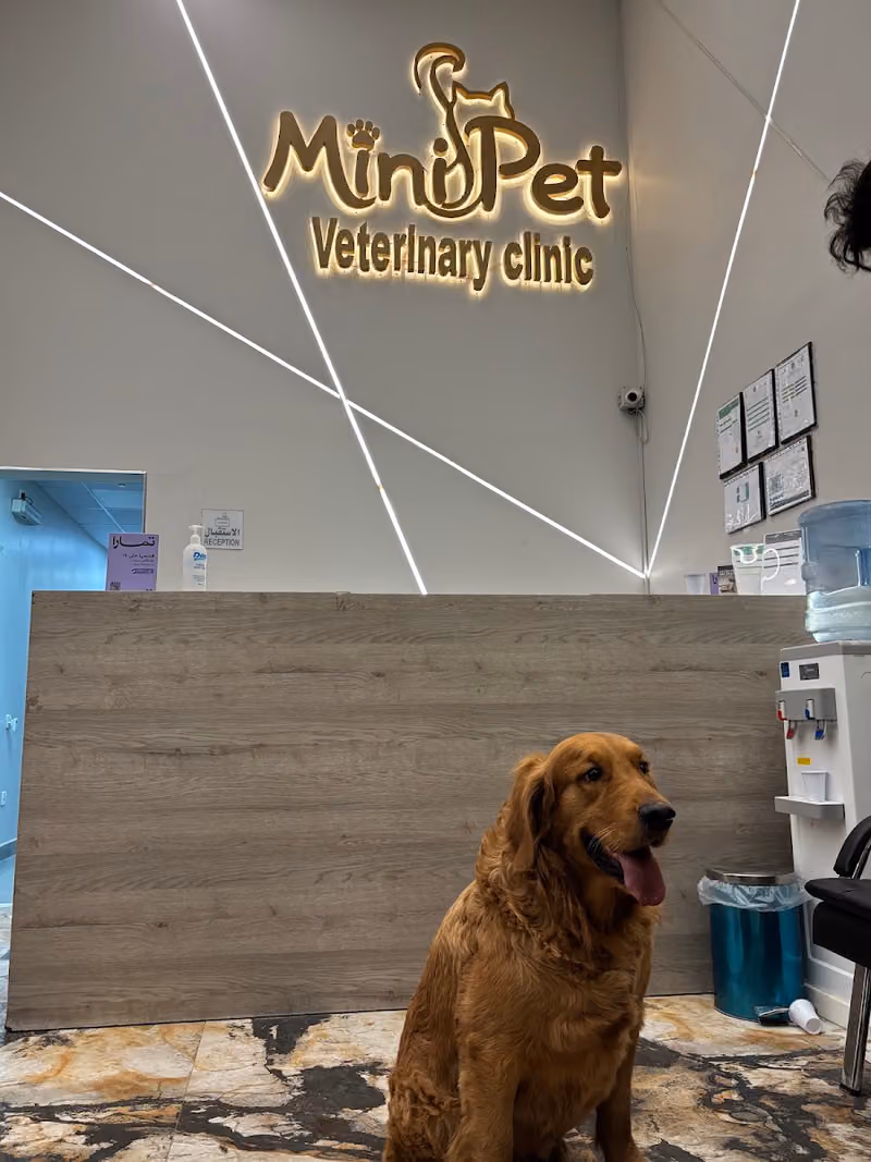 Mini Pet Vet Clinic عياده ميني بيت البيطريه المتخصصه