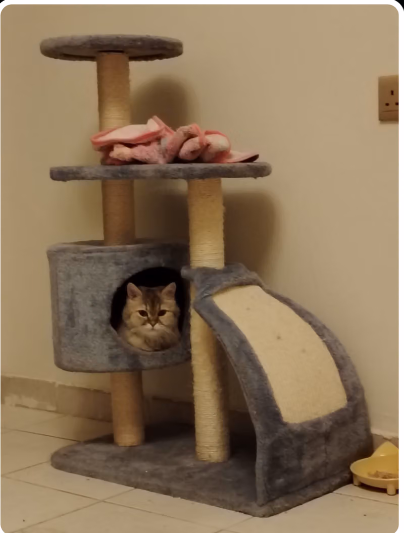 Miya Pets Villa