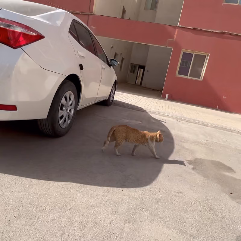 مجمع الديار السكني
