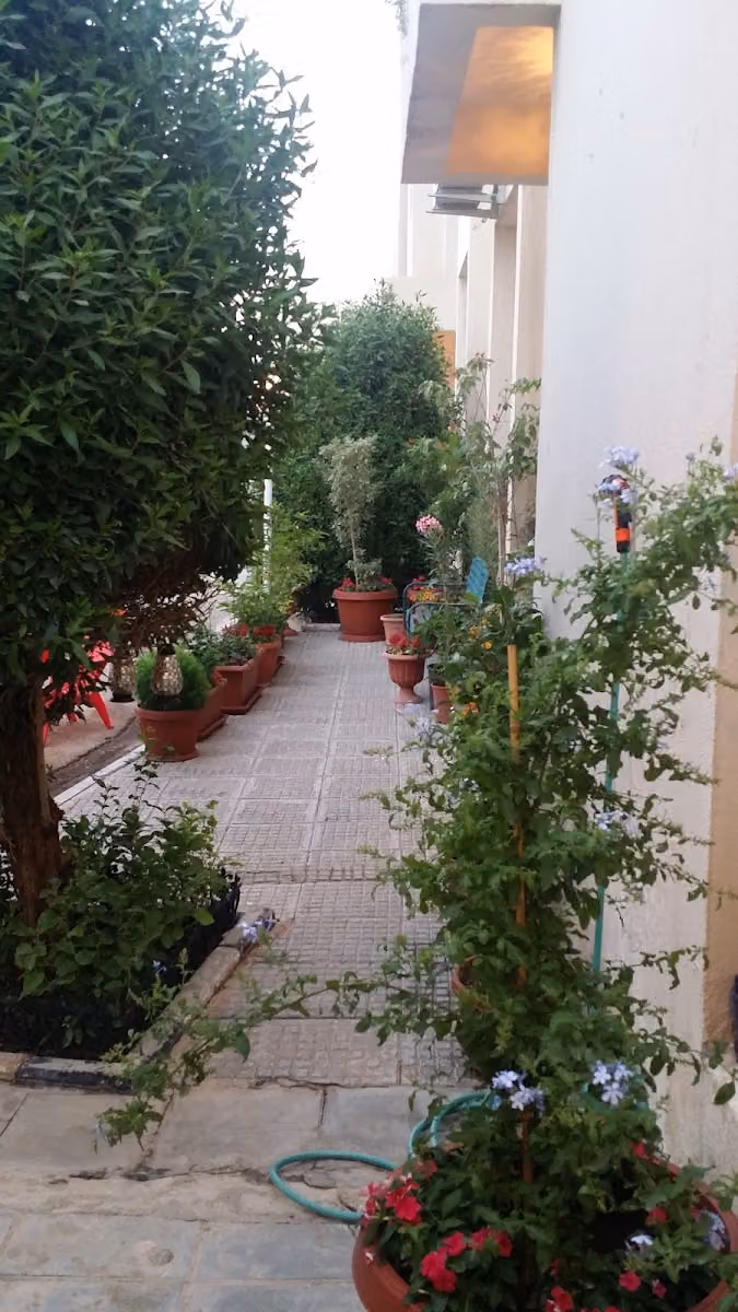 مجمع السعدان السكني