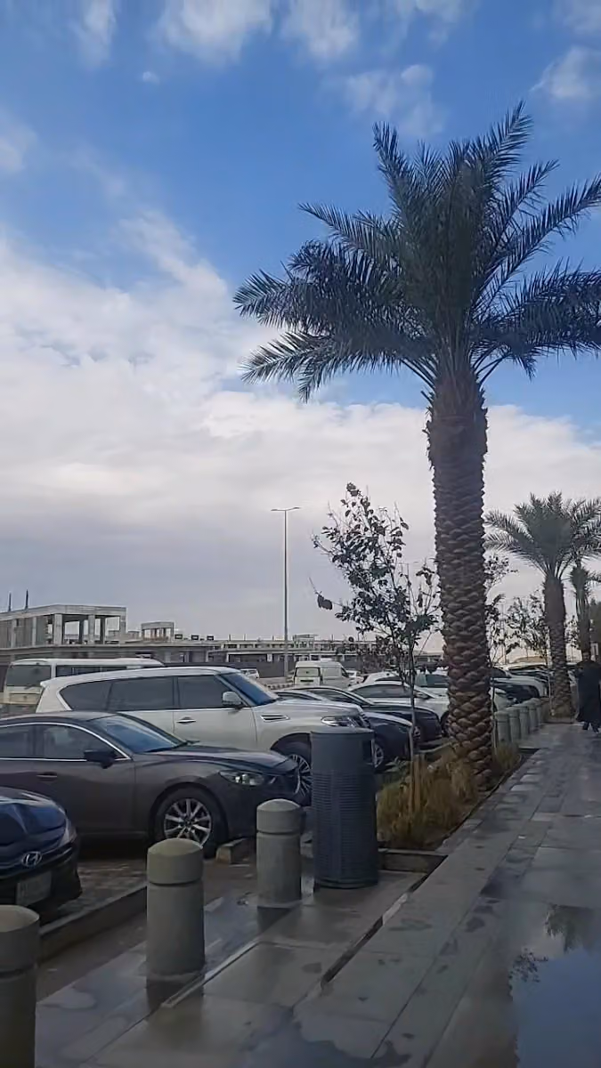 بوابة قرطبة