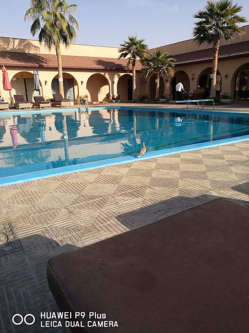 مجمع قرية سدر