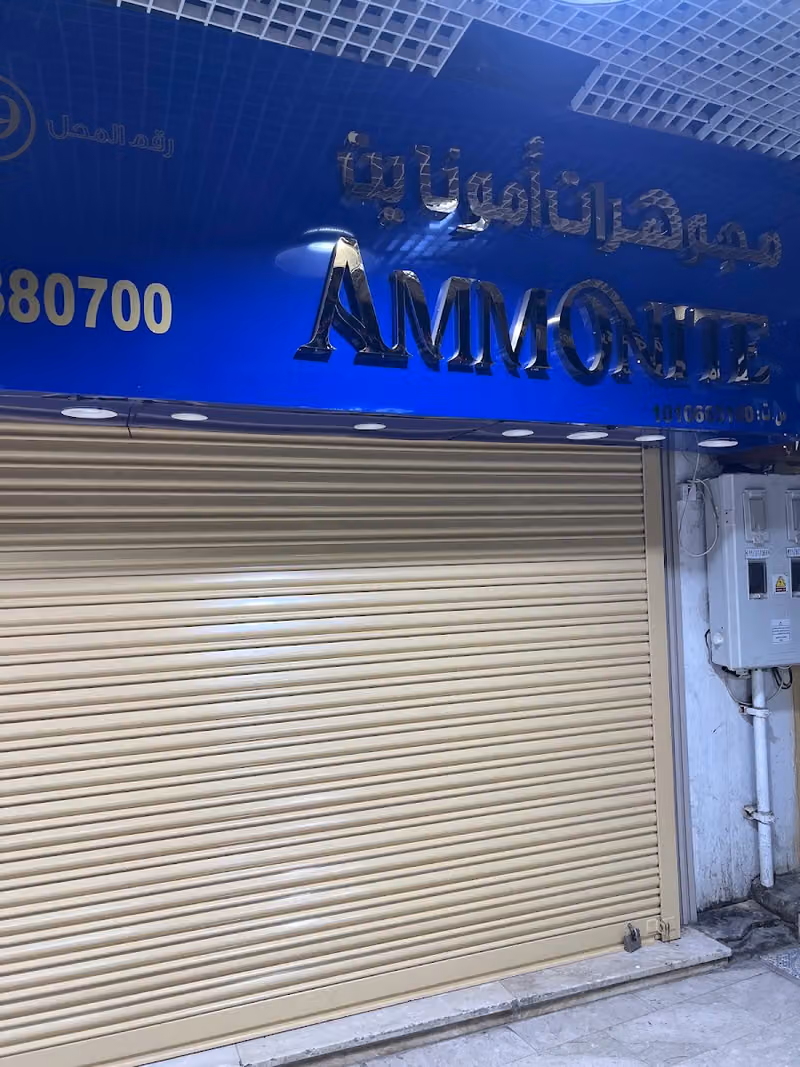 مجوهرات أمونايت19