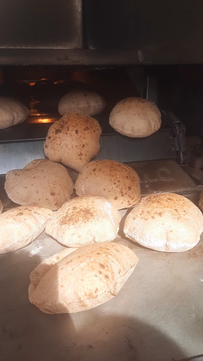 مخبز مصرى مالك الشمرى