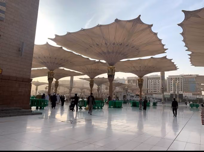 مكتبة المسجد النبوي, Library