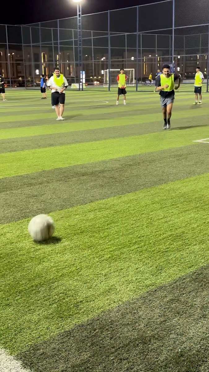 ملاعب الاحتراف الكروي