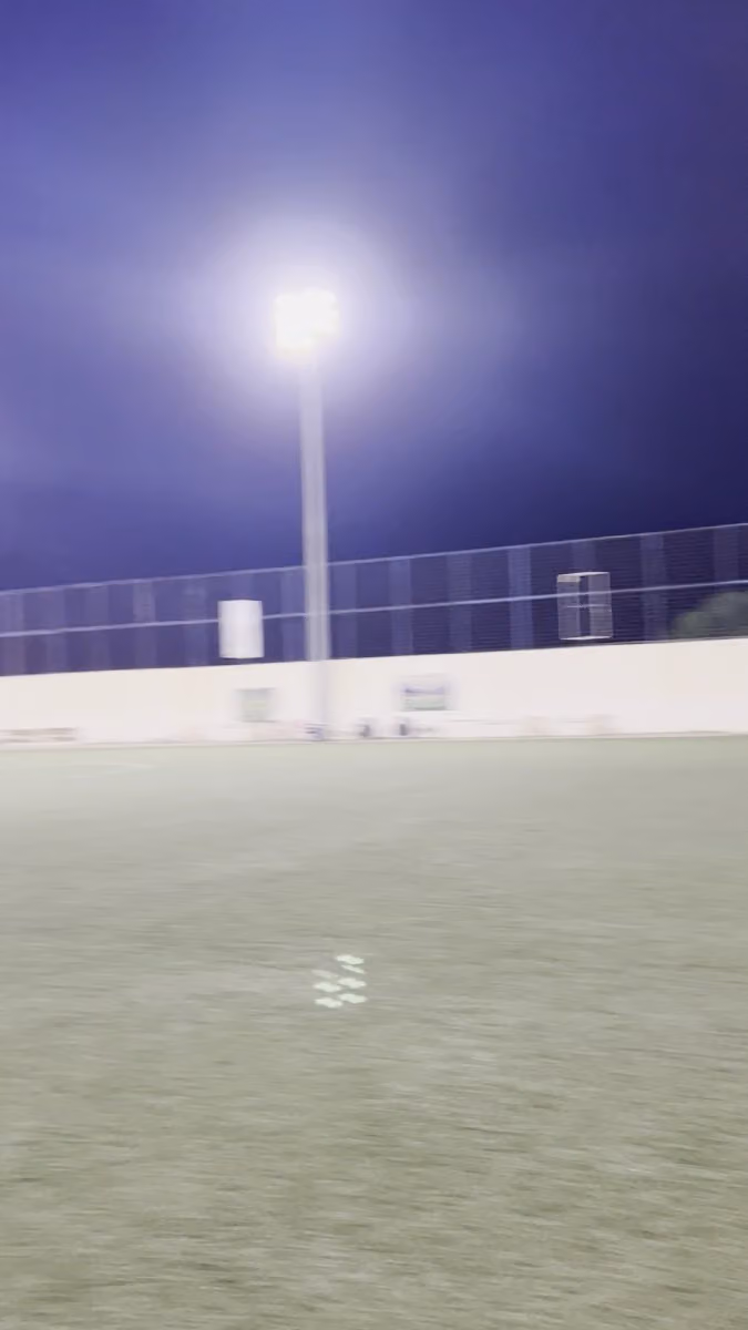 ملاعب الأكاديمية