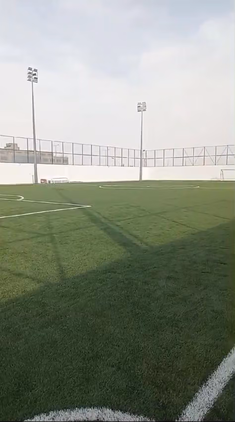 ملاعب الأكاديمية