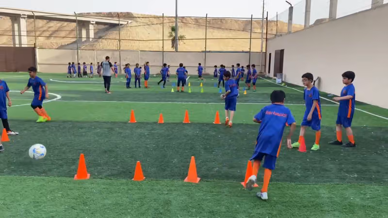 ملاعب الدانه