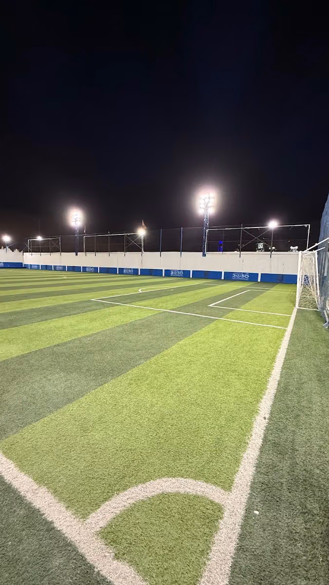 ملاعب الماهر