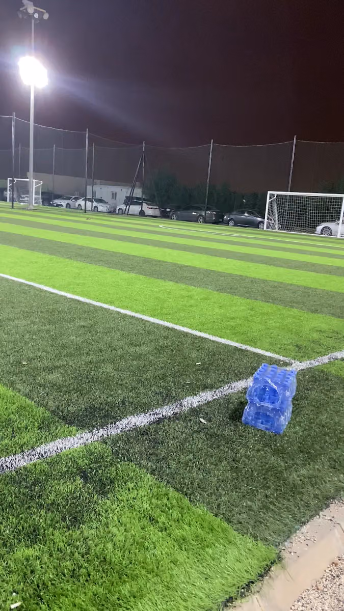 ملاعب التحدي
