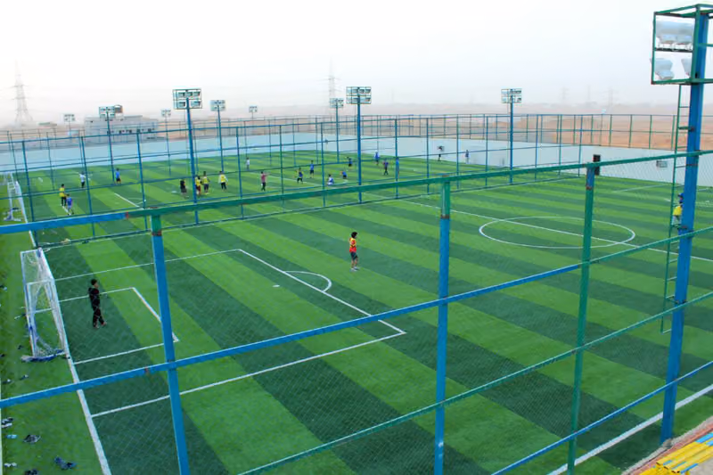 Duck football pitches football
