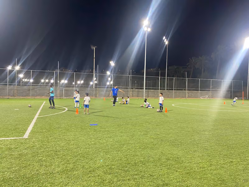 ملاعب محترفين الوادي