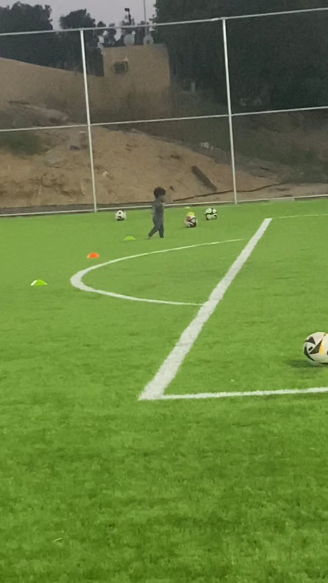 ملاعب محترفين الوادي