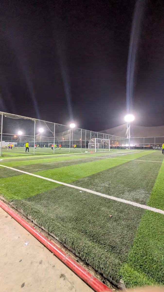 ملاعب ڤيا