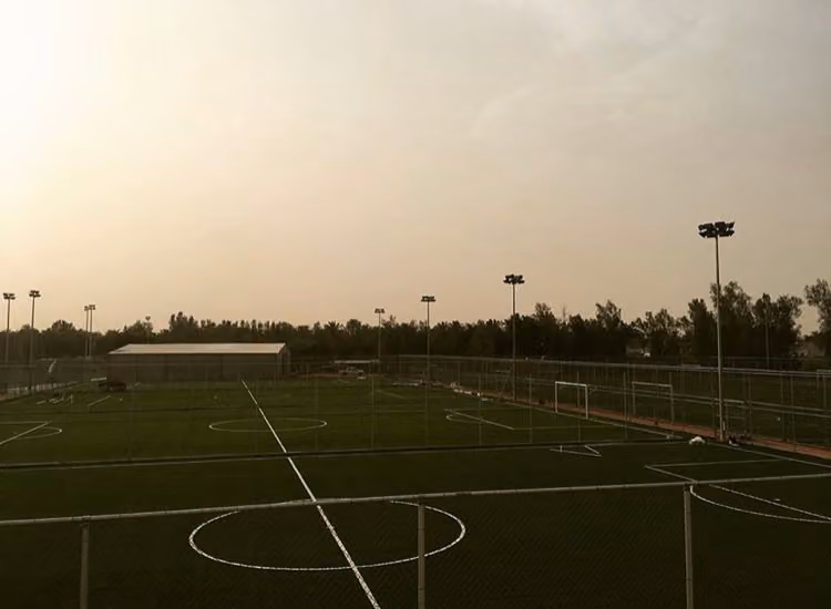 ملاعب ڤيا
