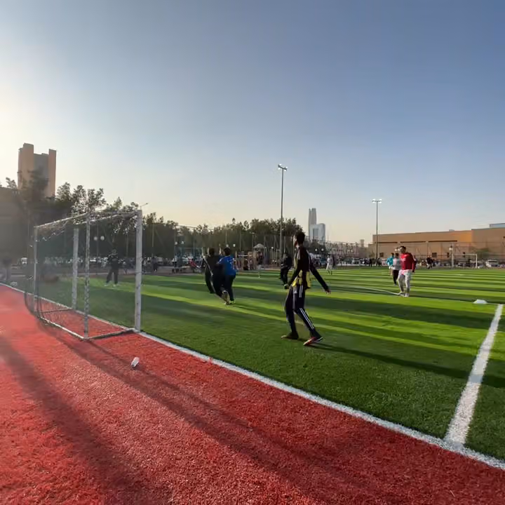 ملعب المروج