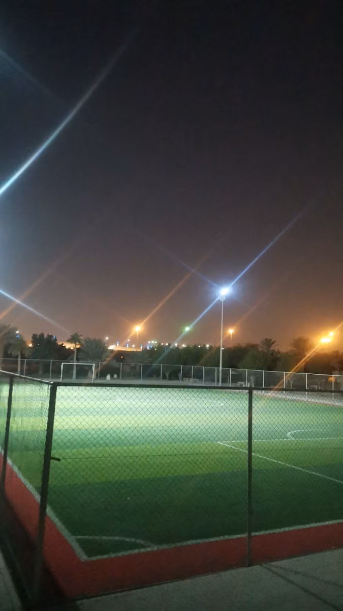 ملعب كرة قدم عشب