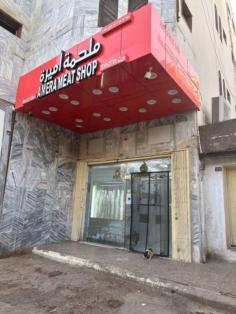 ملحمة اميرة