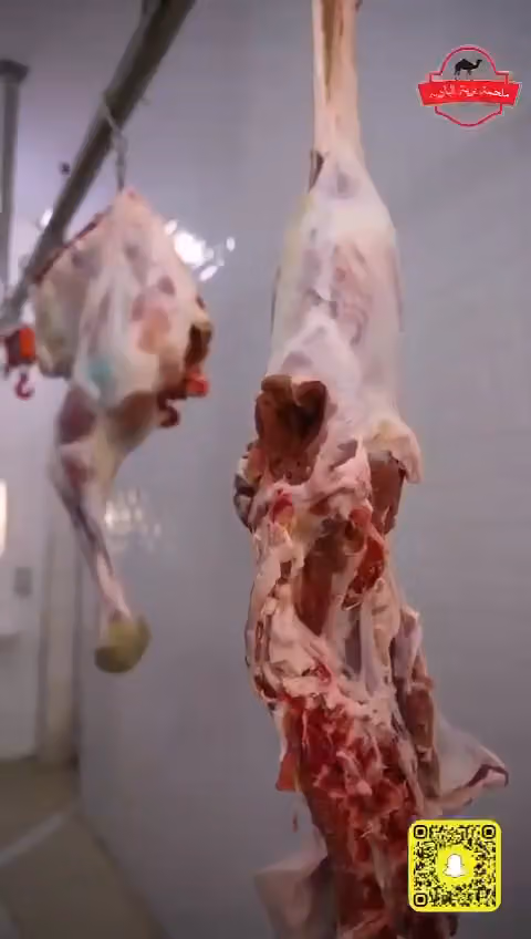 ملحمة برية البادية