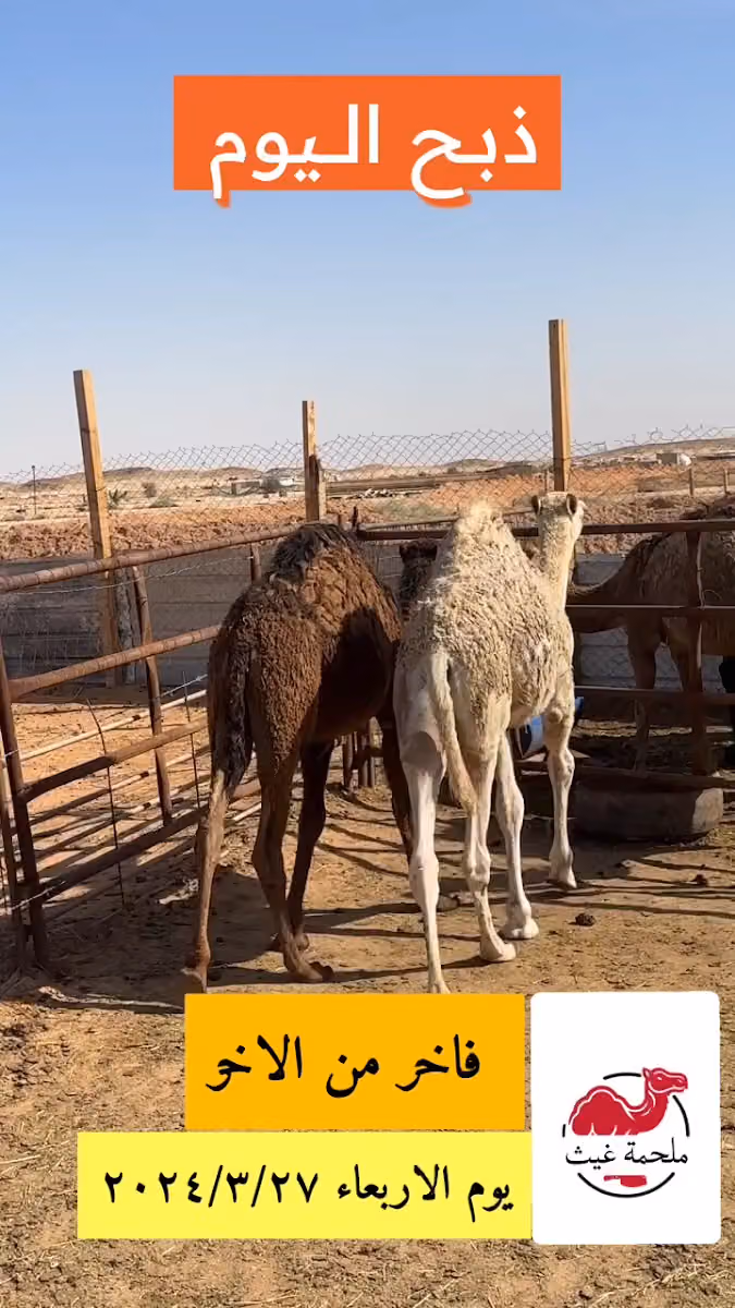 ملحمة غيث الشام