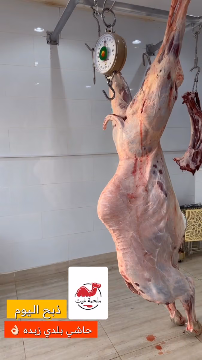 ملحمة غيث الشام