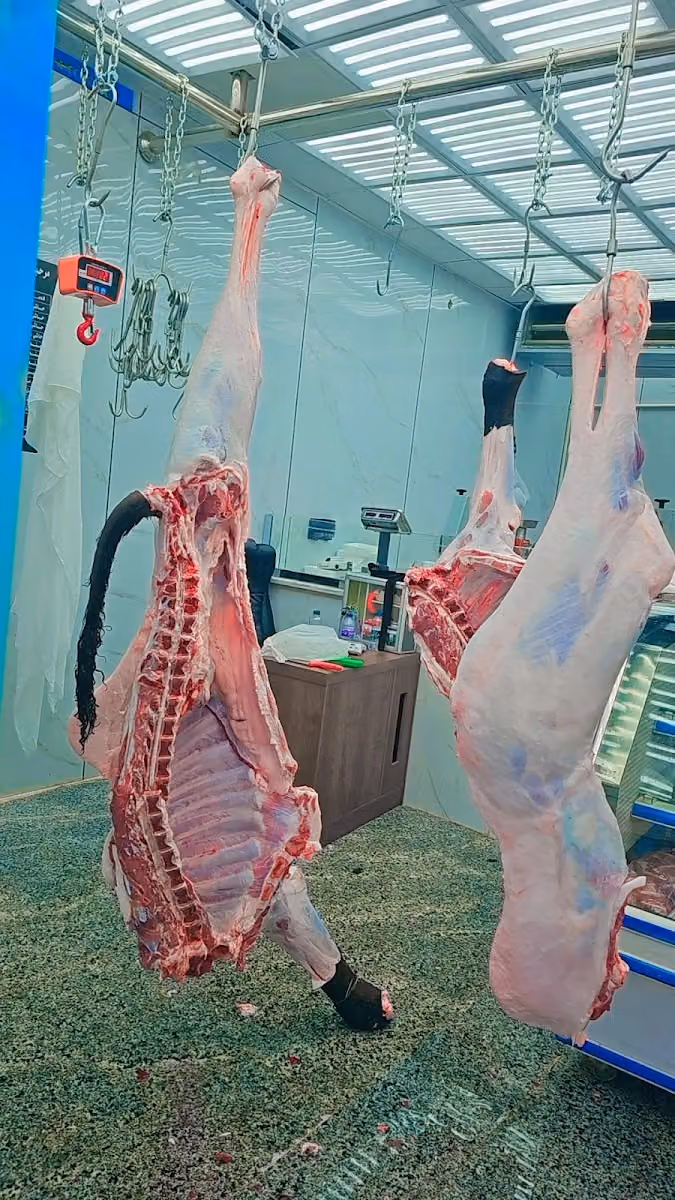 ملحمة لؤلؤة لبن للحوم الطازجة