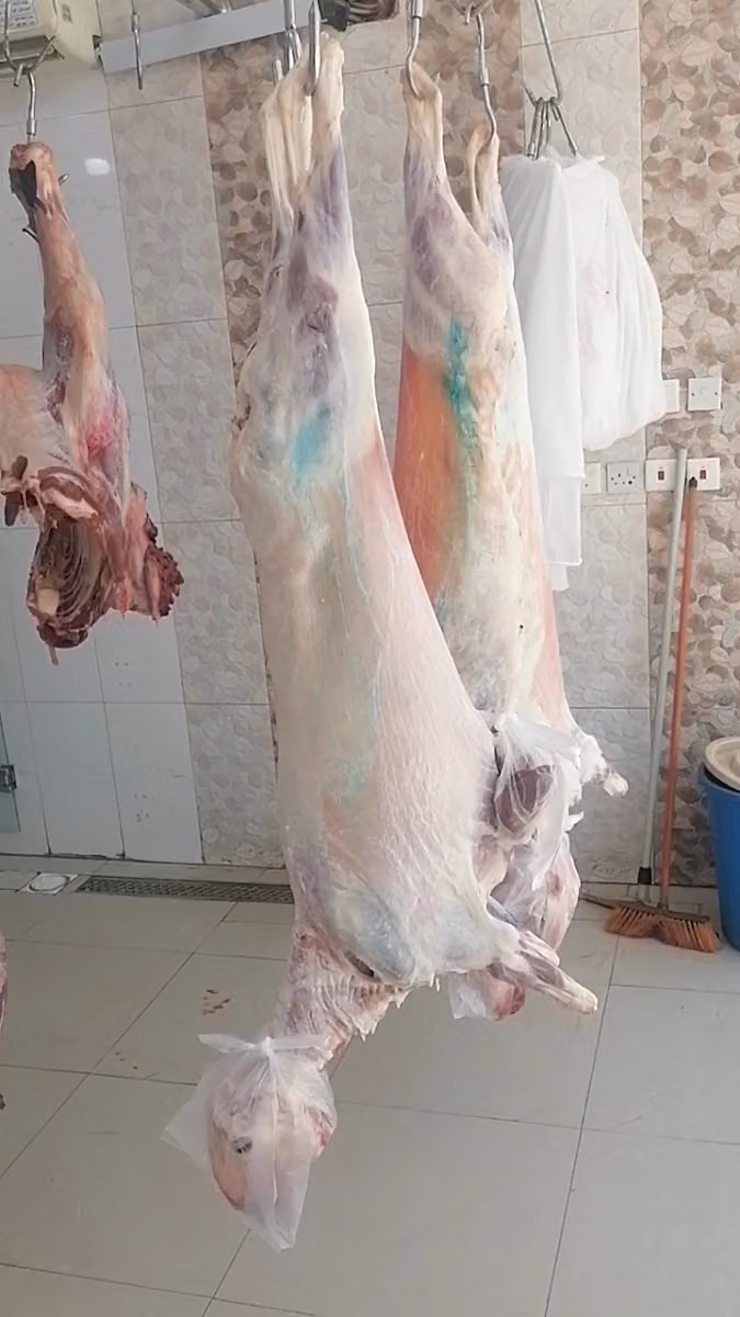 ملحمة مزارع الانعام