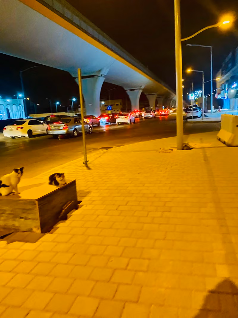 ممشى طريق المدينة المنورة