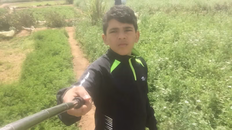 منتج خضار و ورقيات
