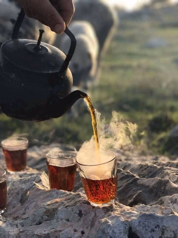 منتجع الرشيد