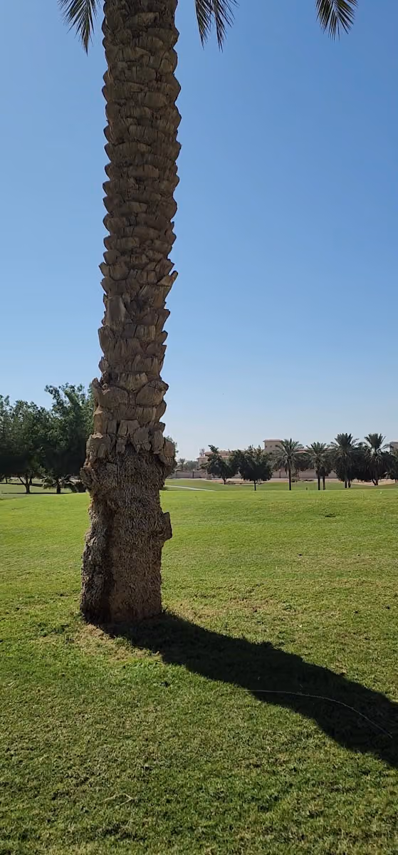 منتجع أريزونا جولف