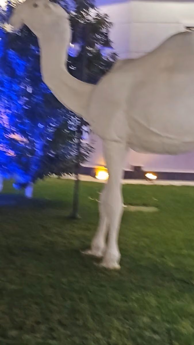 منتجع بانسيه