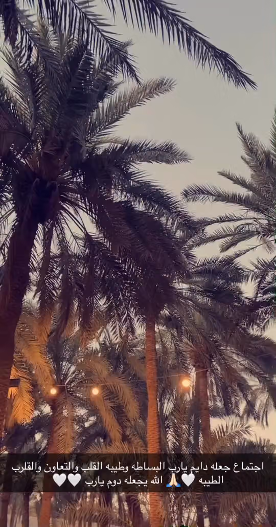 منتجع باسقات