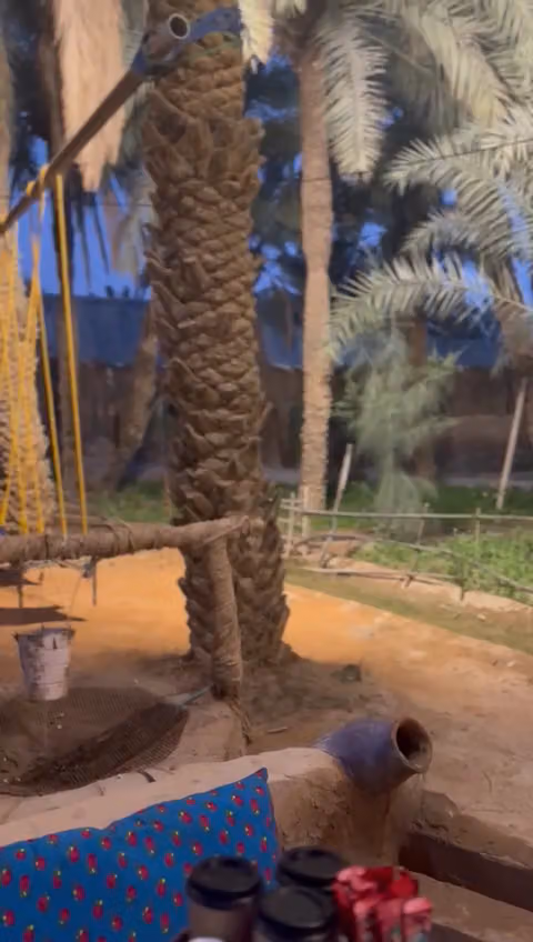 منتجع باسقات