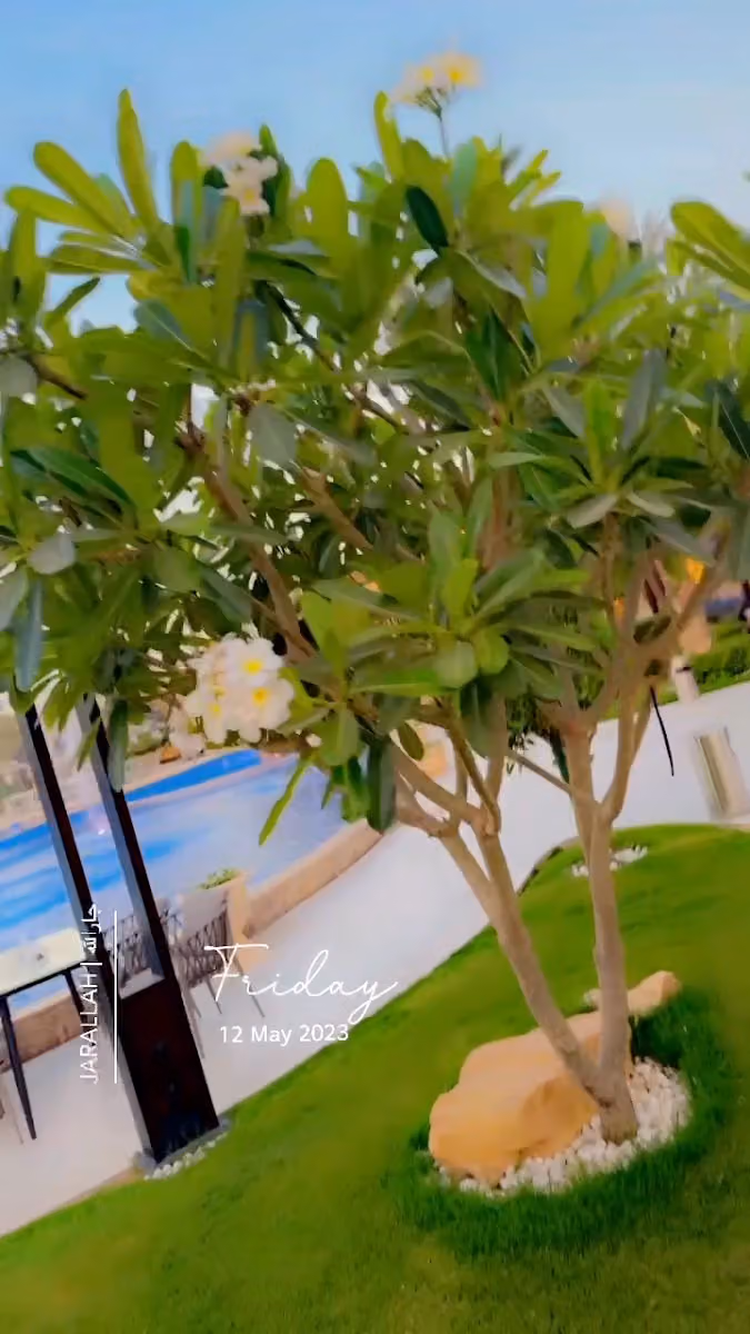 منتجع درة نجد