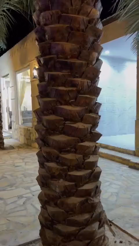 منتجع ريف الرياض