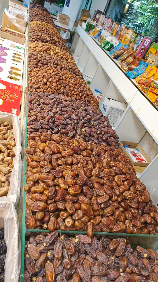 منتجع واستراحة الجود