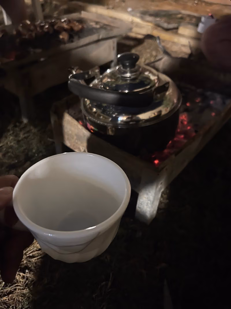 منزل شجرة الليمون للضيافه Lemon tree gust house