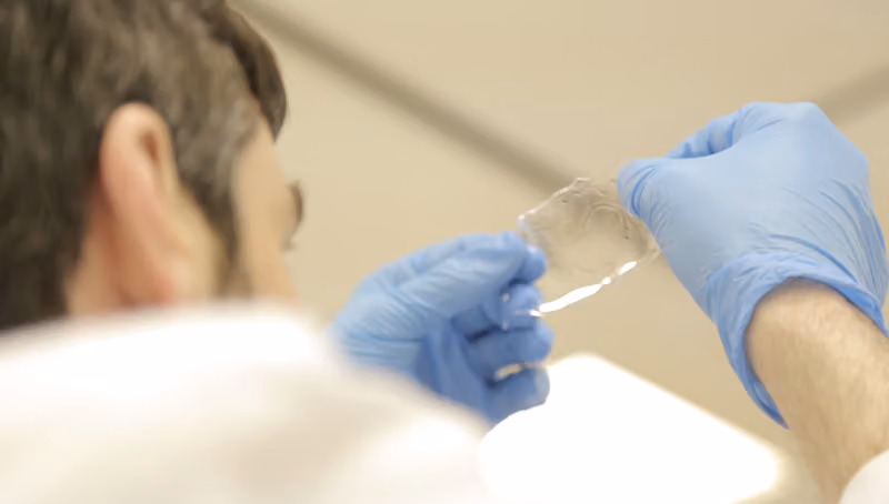 Molecular and Cell Biology (MCB Lab) Laboratory