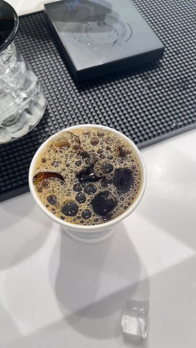 MOLLE Specialty Coffee مولي