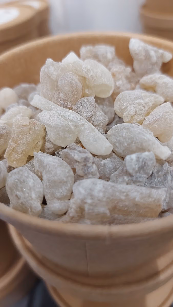 Moscha frankincense -اللبان