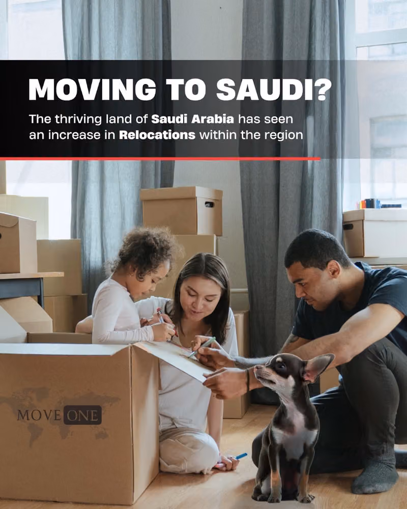 Move One Moving | Relocations | Pet Shipping - Riyadh, Saudi Arabia