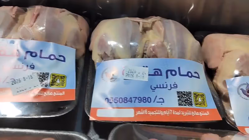 مقطع وجاهز نسمه الجبلين