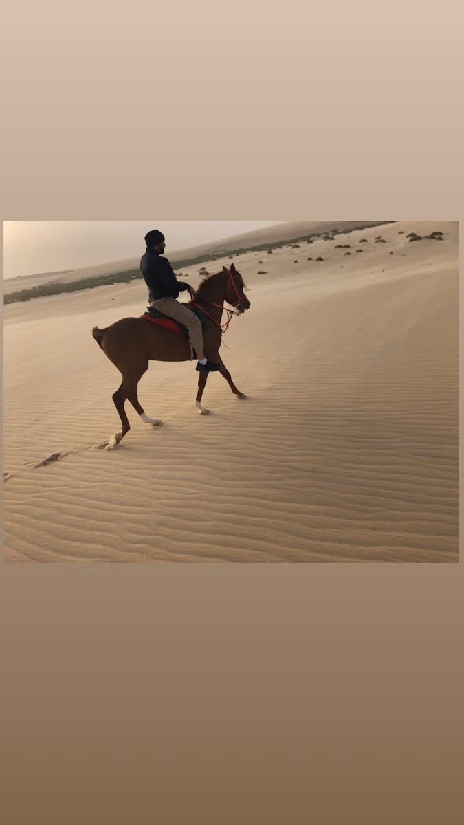 مربط الربيع